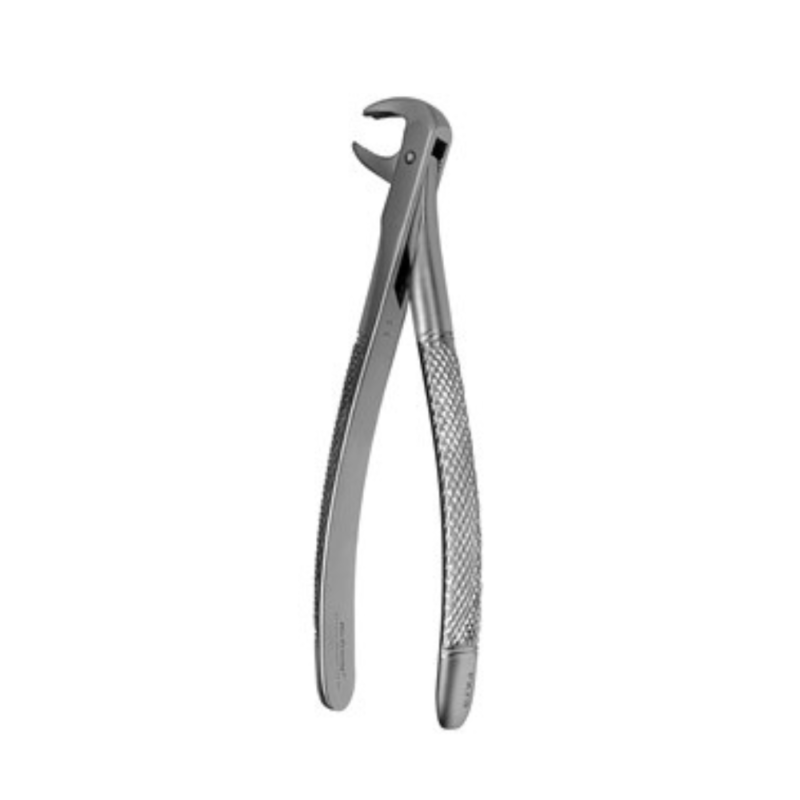 Dental Forceps