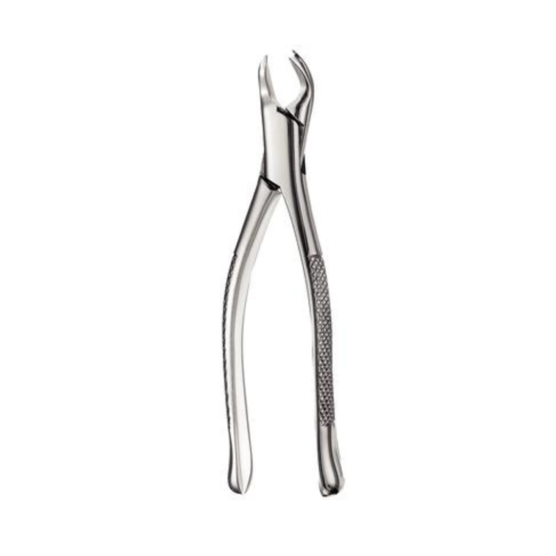 Dental Forceps